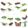 Simulated small animal model toy growth life cycle frog turtle chicken Montessori kindergarten teaching aids 4