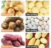 Electronic drum Potato Peeling Machine Washing Potato Peeler Machine Electric Potato Washer And Peeler Machine 5