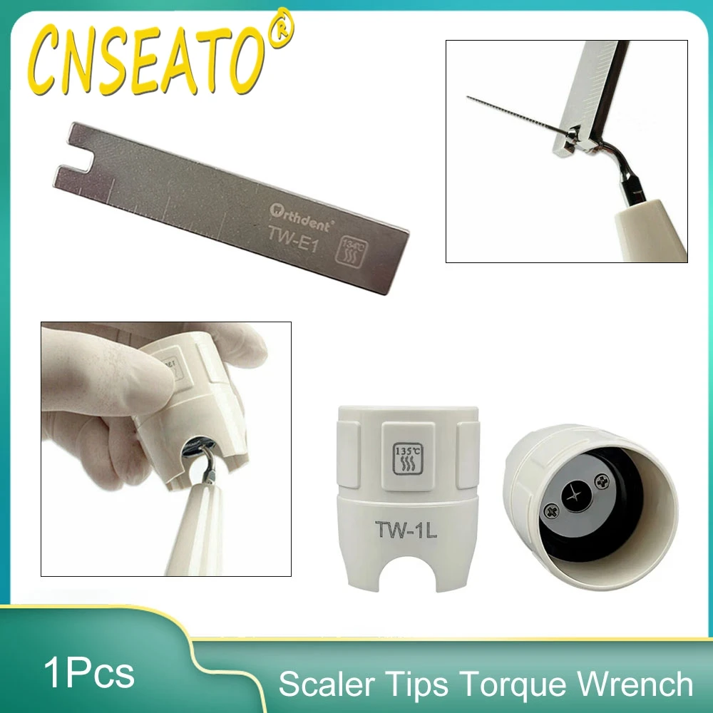 Dental-Scaler-Tips-Torque-Wrench-Endo-Key-Endodontic-Ruler-For-EMS ...