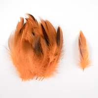 50pcs Mallard Flank Feathers For Fly Tying 3