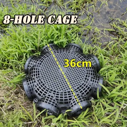 Eight Hole Cage