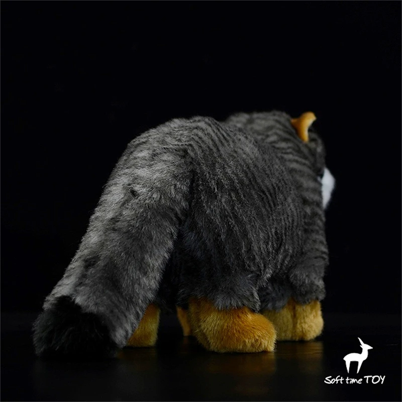 Steppe Cat High Fidelity Pallas Cat Cute Plushie Manul Plush Toys Lifelike Animals Simulation Stuffed Doll Kawai Toy Gifts Kids 4