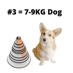 Pet Elizabeth Collar - Anti - Bite & Recovery Accessory (3)
