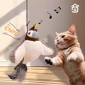 Grey Cat Bird