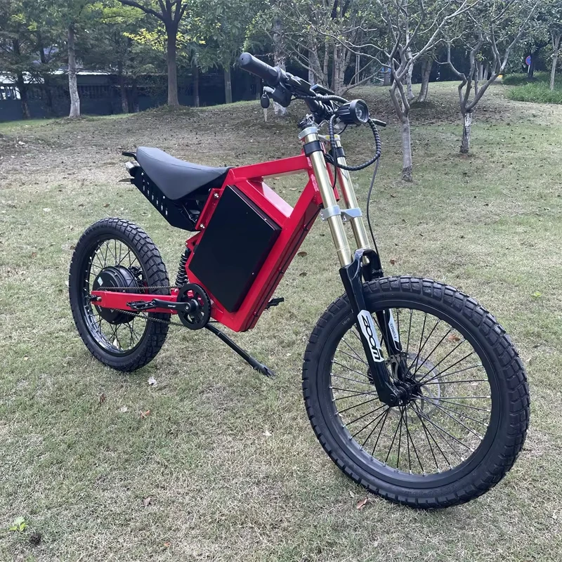 CS20 48V 3000 Watt Electric Mountain Bike Aluminum Frame Electric Bicycle Ebike Popular Bike Pitbike