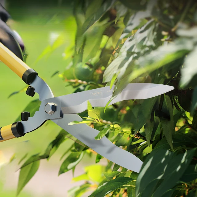 Ultimate gardening tool for all your needs