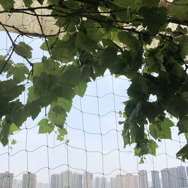 Kerti Hegymászás Nylon Hi-Minőségű Hálónövények Szőlővédő Kerítés Zöldségkert Virágok Növények Mászás Nettó Termesztési Tartó - Image 5