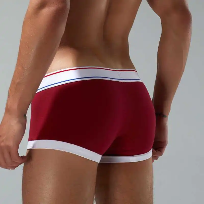 Brand Men's Boxers Underwear High Quality Cotton Men Boxershorts Sexy Bulge Big Penis Pouch Man Panties Low-rise Male Lingerie 5