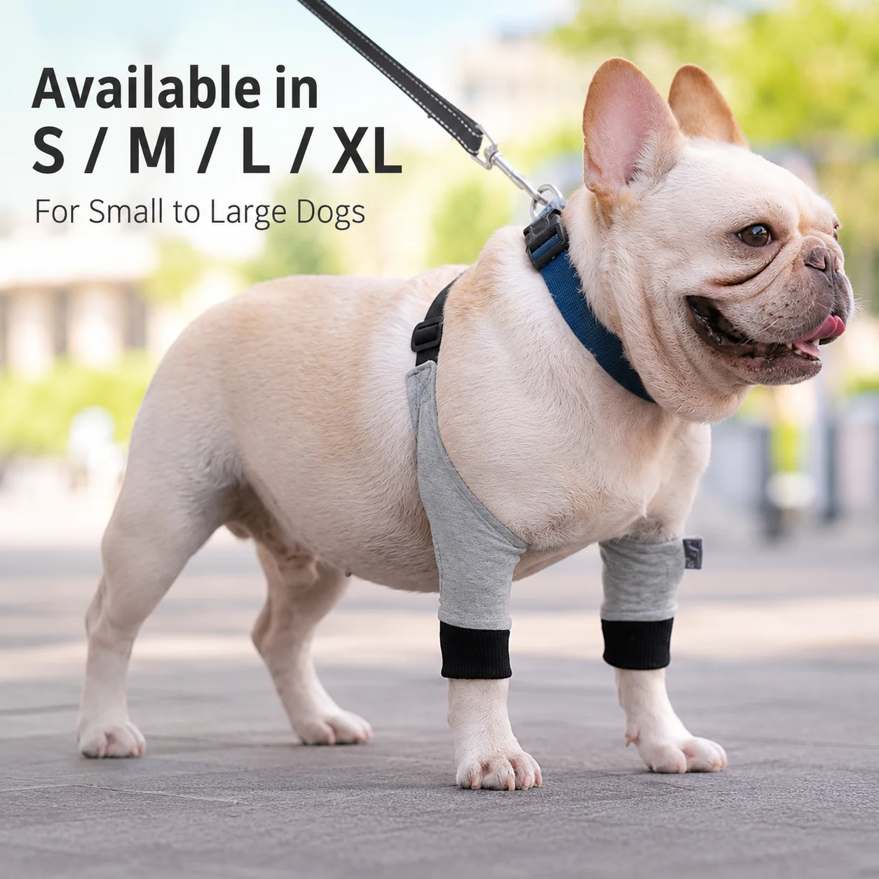 Adjustable Dog Elbow Protector with Padded Mesh Anti-Lick Guard