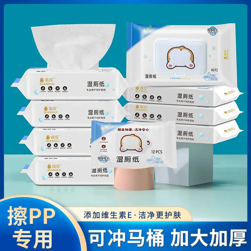 Wet Toilet Paper Disposable Toilet Wipes For Men And Women, Cleaning And Care Of Genitals Private Parts, Wiping Buttocks, An