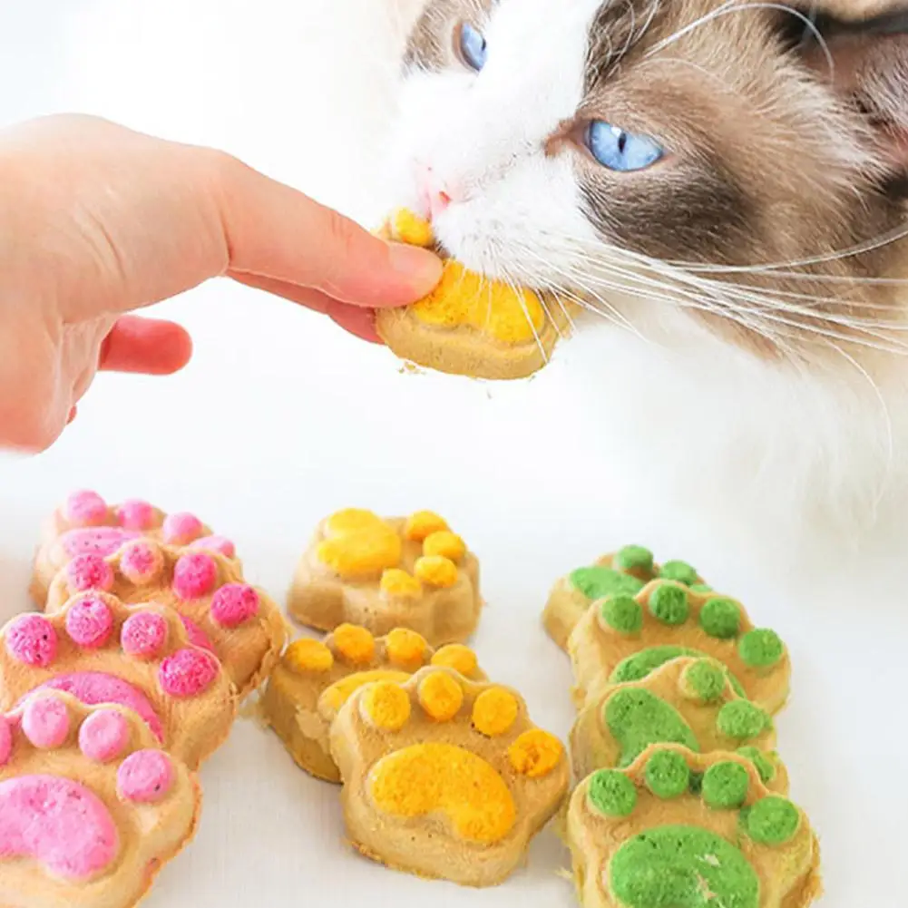 10pcs Cat And Dog Freeze Dried Snacks With High-quality Meat