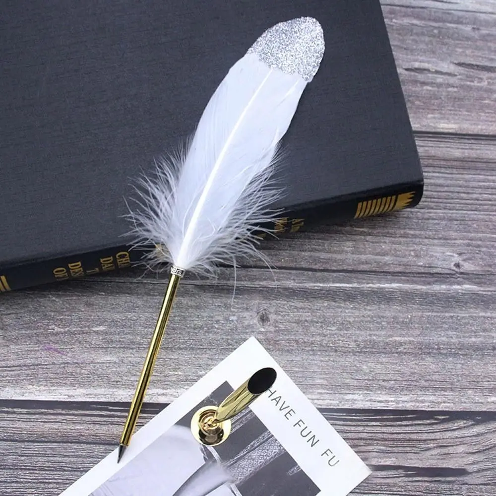 Vintage Feather Pen Set with Ornate Quill and Nib Collection - Elegant Writing Gift Set
