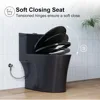 Elongated One Piece Toilet 10" Rough-in, Matte Black Toilets, Powerful Dual Flush Modern Toilet 6