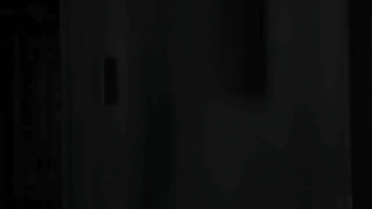 DEWALT DW089LG Профессиональный лазерный уровень зеленый луч 12 линий