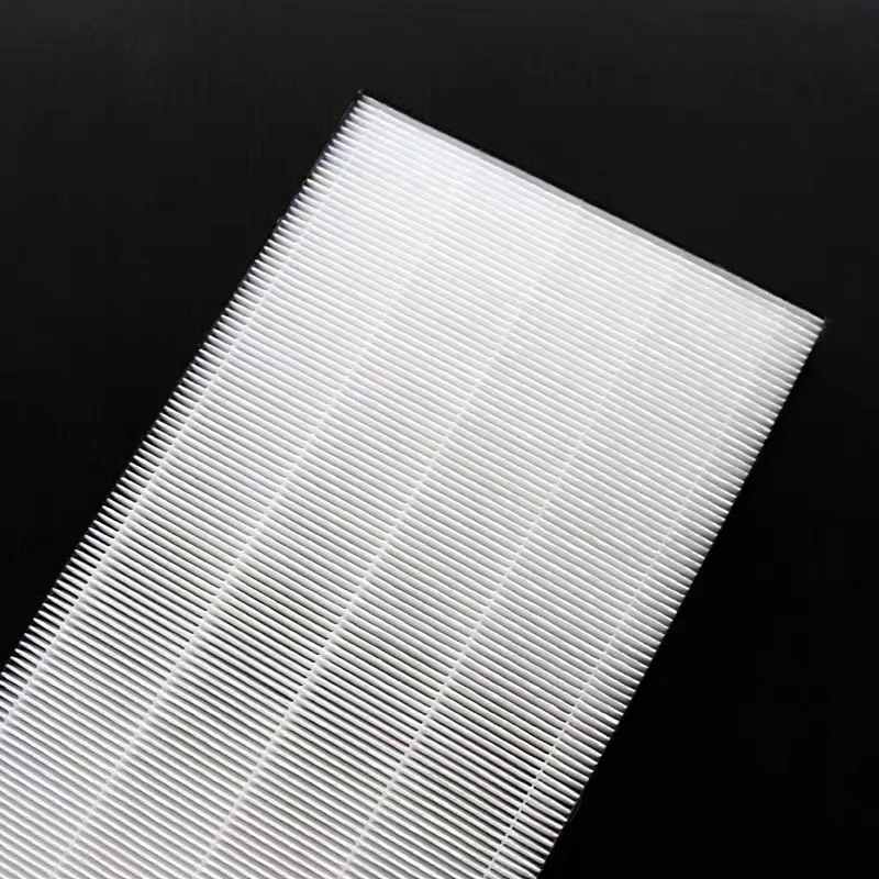 Filtre HEPA H13 de remplacement pour purificateur d'air Coway AP-3008FH, lot de deux filtres charbon actif emballés.