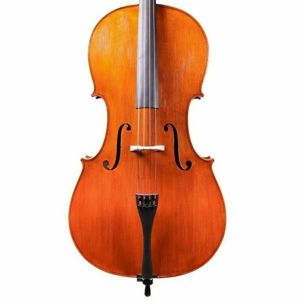 Рисунок 2 - Профессиональная Модель Stradivari