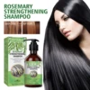 Rosemary Shampoo Anti Hair Loss Fluffy Hair Oil Control