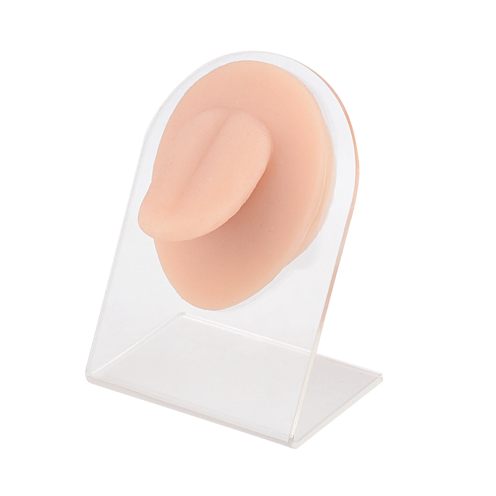 Simulate mouth model perforation, puncture, suture practice, mouth model, lip nail, nail display model