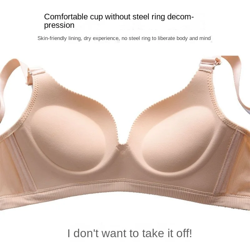 216 Pieces Et|tumamia Ladies Lace PusH-Up Bra - C CuP-Box Only - Womens  Bras And Bra Sets