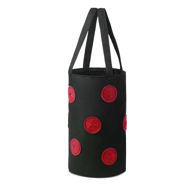 Black red