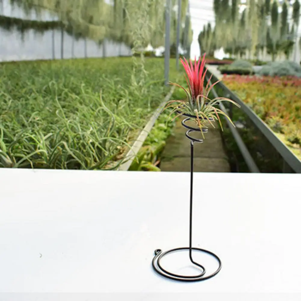 

Grass Stand Iron Art Plant Rack Creative Air Pineapple Rack Green Plant Display Holder Decoration Home Decor