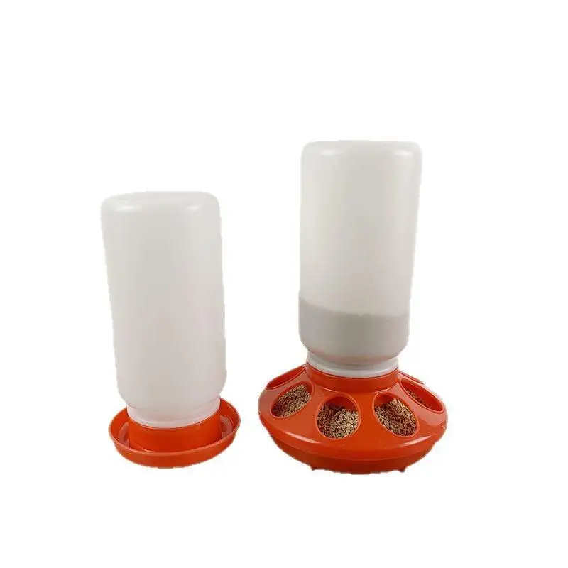 Poultry Feeder & Drinker 1