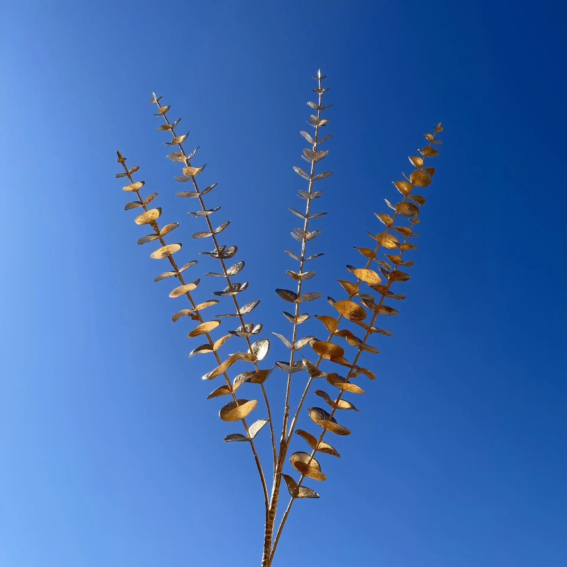 Yugali