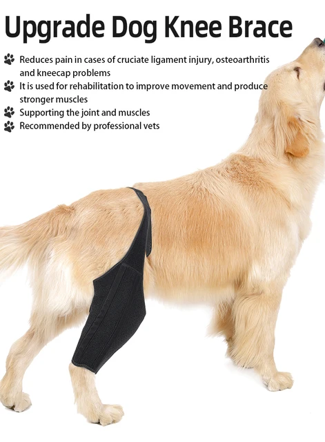 Acl Knee Brace LISPOO Dog Knee Brace For ACL/CCL Injuries,Torn