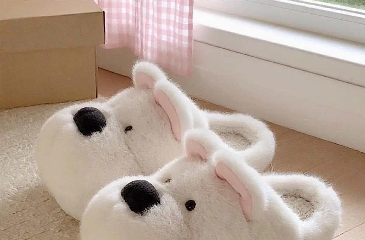 gmmUi/2jyNSkrcd8g6hhVD8IoFyXvDOkpMXR