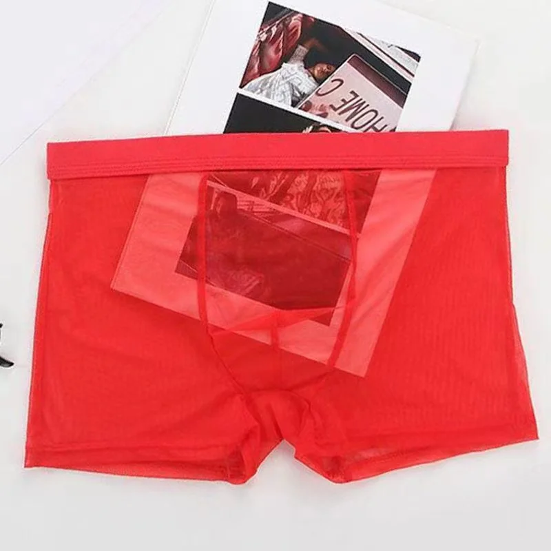 Underwear Transparent Boxers Bulge Ice Silk See Through Underpants Sexy Briefs Low Waist Panties Lingerie Intimates