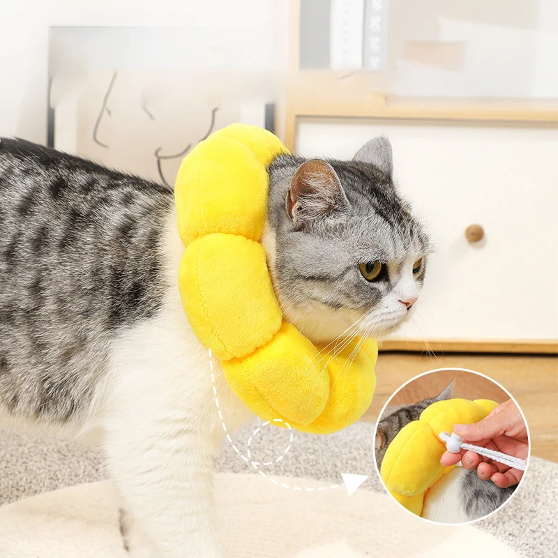 Sunflower Pet Elizabethan Collar 4