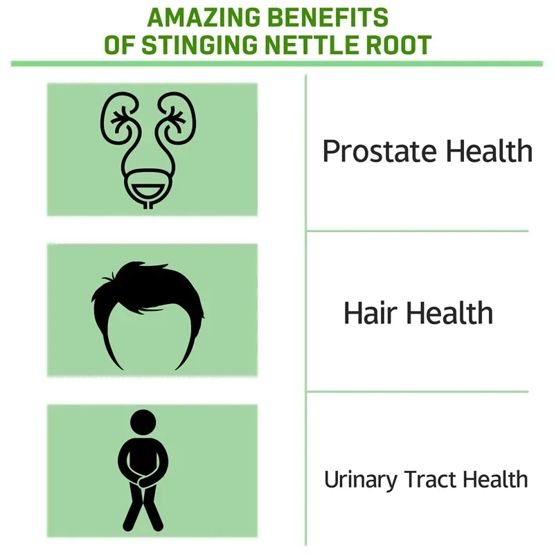 Stinging Nettle Root-Promotes Prostate and Urinary Tract Health, Reduces Frequent Urination