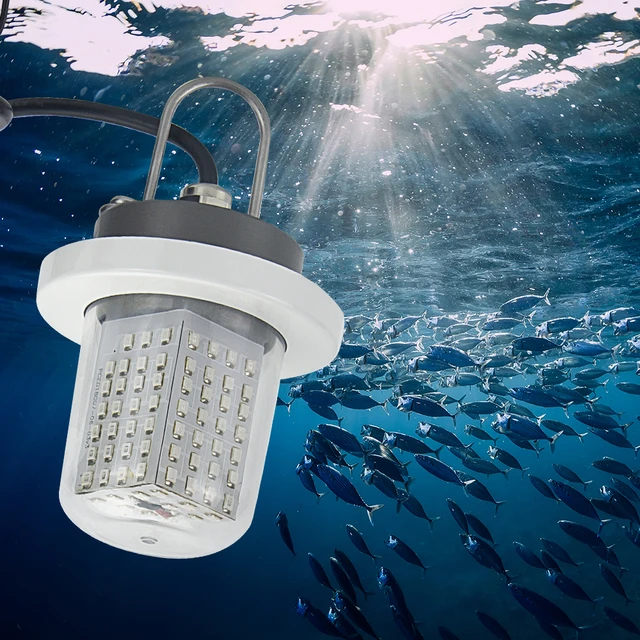 Fishing Light Attractor Marine Boat LED Green Underwater Submersible Night Fishing  Lamp For Sea Lake 5 Inches IP68