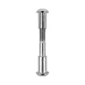 Silver locking screw