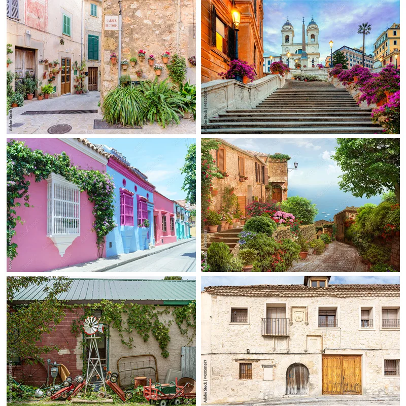 

Country Small Town Natural Scenery Photo Background Street Sky Photography Backdrop Living Room Decor Poster XZF-08