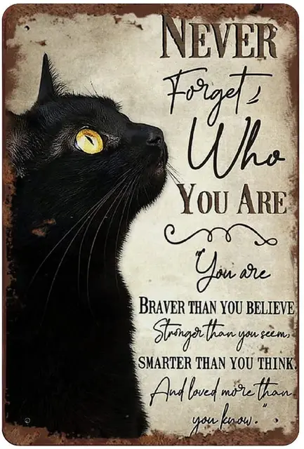 Signe En Metal Animal Mon Chat Est Plus Cool Que Moi Amoureux Des Chats Decor Mural Retro Ferme Librairie Cafe Salle De Boxe Decor Exterieur Aliexpress