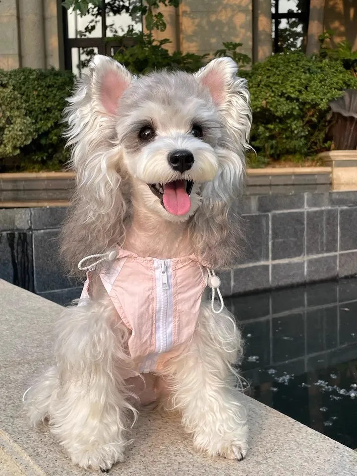 가볍고 통기성이 좋으며 내구성이 뛰어나고 고품질인 반려동물 쿨링 조끼 강아지 야외용 코트