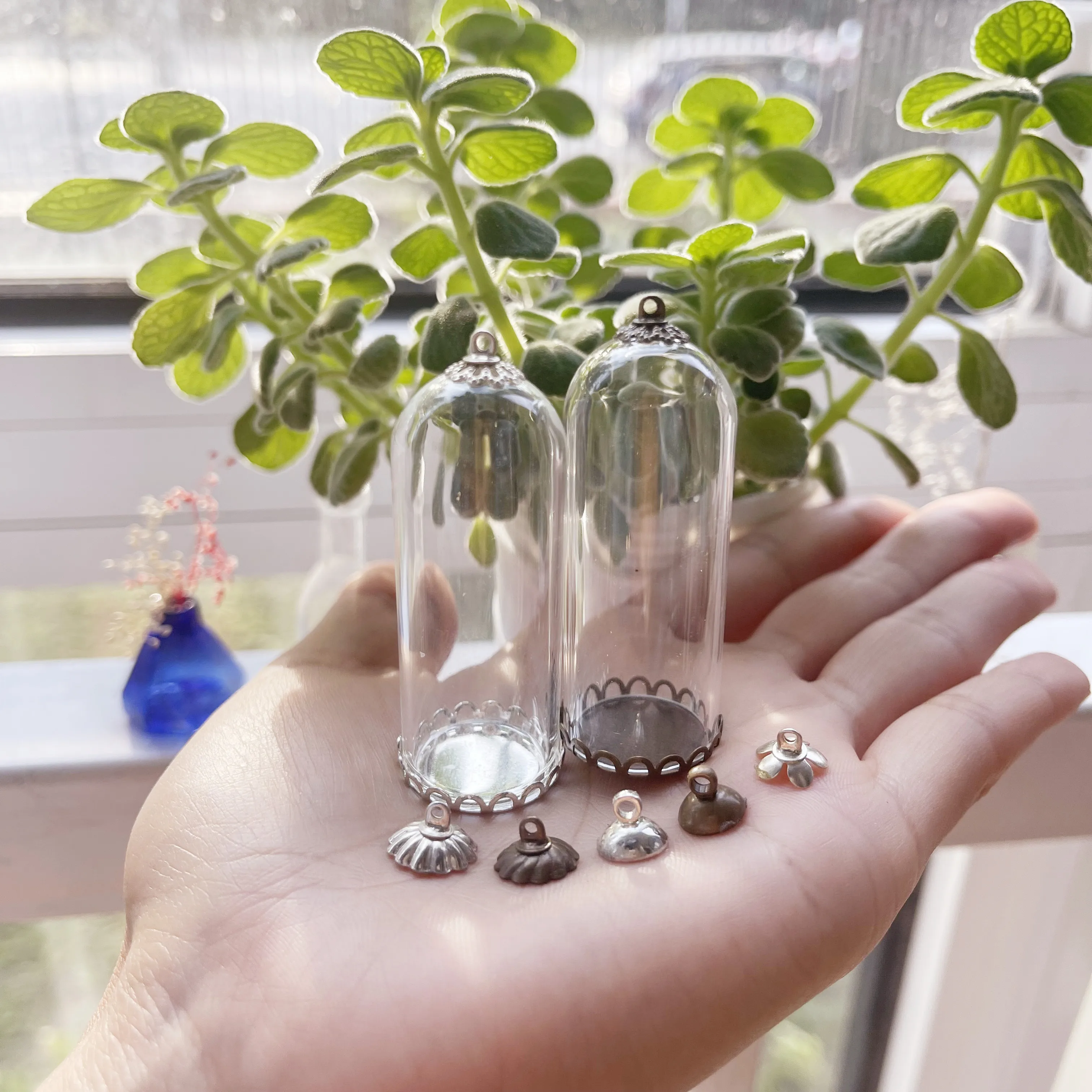 5/8/10X 50x20mm Clear Tube Bell Jar Glass Cover Dome Glass Vial Pendant Lace Base Home Room Table Display Decor Flower Ornaments 2