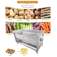 Machine à éplucher les pommes de terre électrique industrielle commerciale, pour usage domestique, petits outils de cuisine, éplucher le fromage, les fruits et légumes 3
