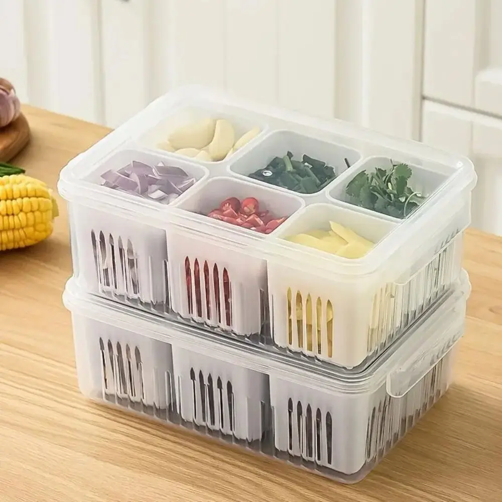 

Fresh-keeping Refrigerator Storage Box with Lid 6 Grid Scallion Preservation Box Onion Ginger Storage Container Kitchen