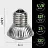 25/50/75W UVB Reptile Lamp Bulb Tortoise Basking UV E27 Bulbs Amphibians Pet Snake Lizard Heating Sunlamp Calcium Supplement 6