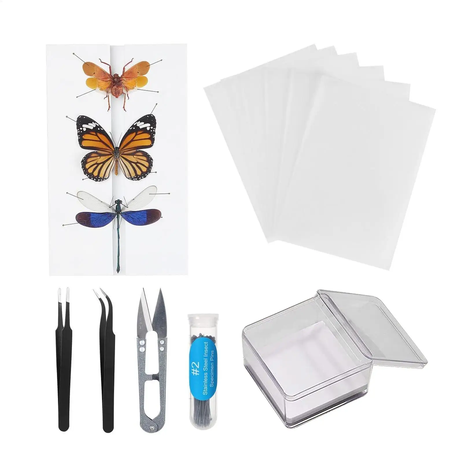Insect Specimen Making Tool Insect Pin Wing Plate DIY Butterfly Specimen Tools Specimen Display Accessories Set for Butterfly 1