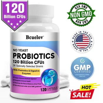 Probiotics Supports Immune Health 1