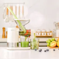 Cold Press Juicer Slow Juicer Multifunction Fruit Vegetable Screw Extractor Automatic Squeezer Citrus Juicer Portable Blender 2