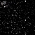Black-Starry Sky