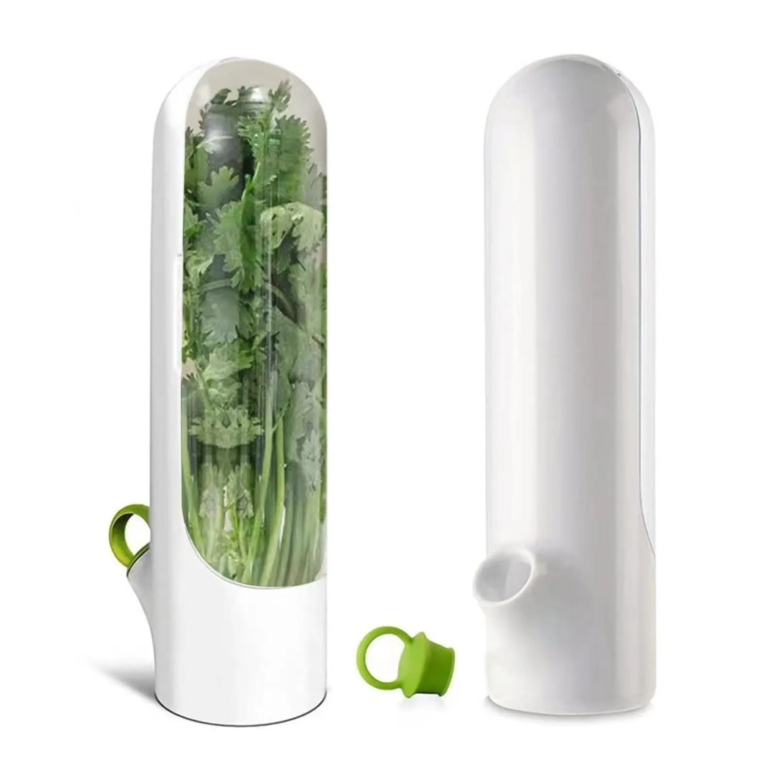 Herb Keeper for Refrigerator Storage Containers Herb Saver Keep Cilantro Fresh Versatile Herb Keeper for Prolonging Freshness