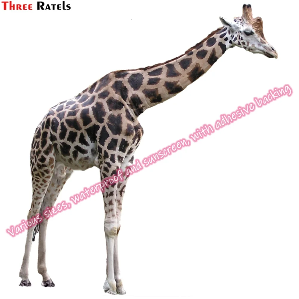 Рисунок 4 - Наклейки Three Ratels N161