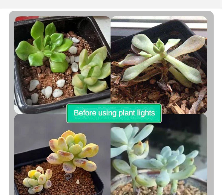 S38f5c859ec434f81969133334f7f8fcbb