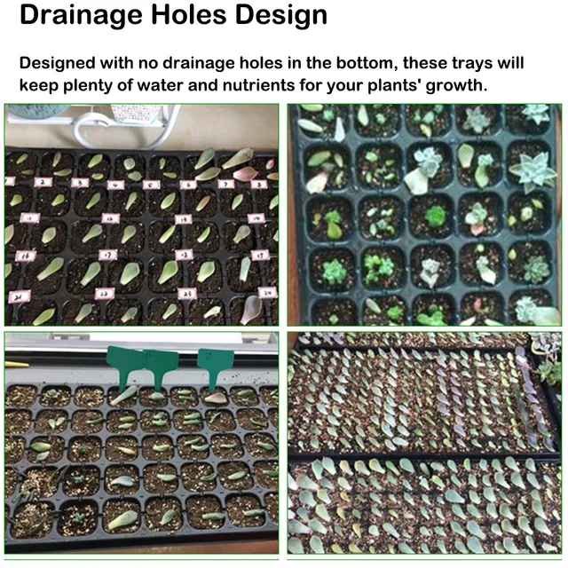 Növénytermesztési Tálcák Óvodai Edény Palánták Tartó Téglalap Alakú Hidroponika Csírázás Üvegházhatású Zöldség Paradicsom - Image 2