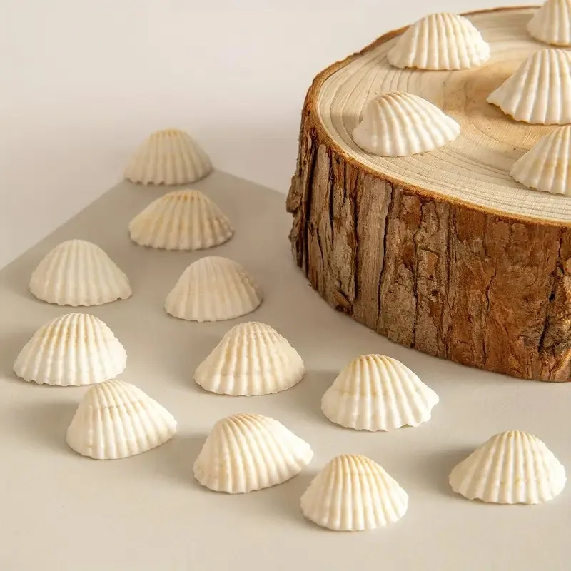 DIY 쥬얼리 만들기위한 20 Pcs 도색되지 않은 천연 쉘 참, 목걸이, 팔찌, 귀걸이 용 수지 공예 조개 공급